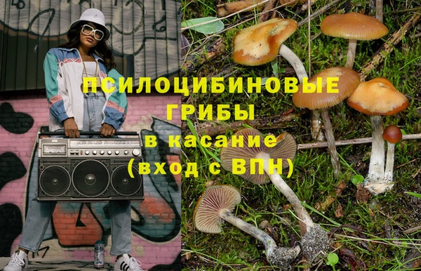 mix Богородицк